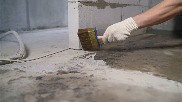 SJ Waterproofing Pros Basement Waterproofing coverage map for Darien Center, NY and surrounding area